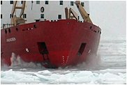 Coast Guard